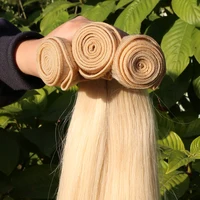 

100% Unprocessed Virgin Brazilian Hair Lace Frontal Cuticle Aligned 613 Straight Weave Human Hair Bundles with Closure