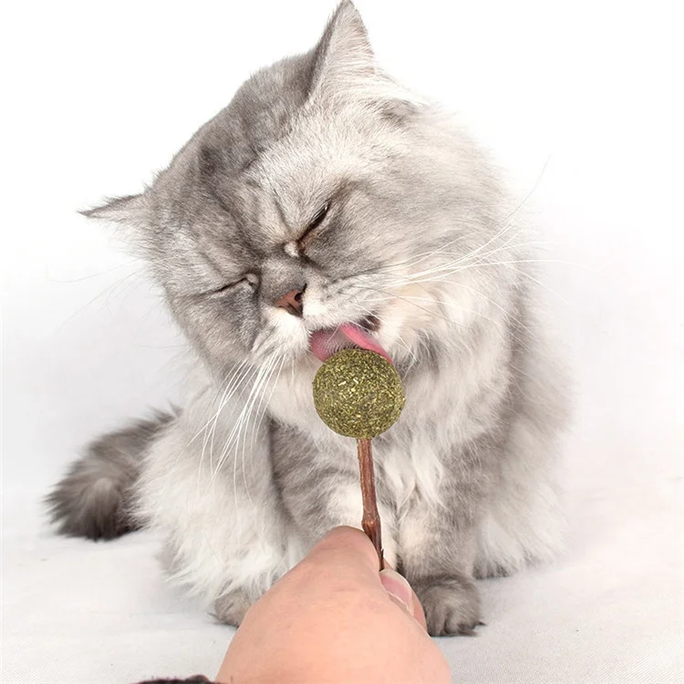 

2021Wholesale Own Farm Planting Safe Eco Friendly Kitten Supplies Pure Natural Catmint Pet Cat Catnip Lollipop Toys, As photo