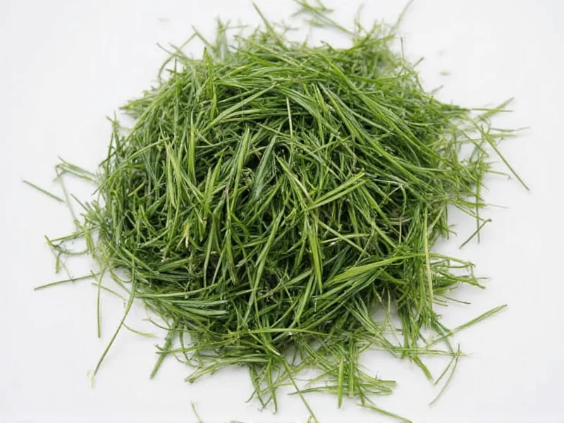 1 Tbsp Fresh Dill to Dried: Perfect Conversion Ratio