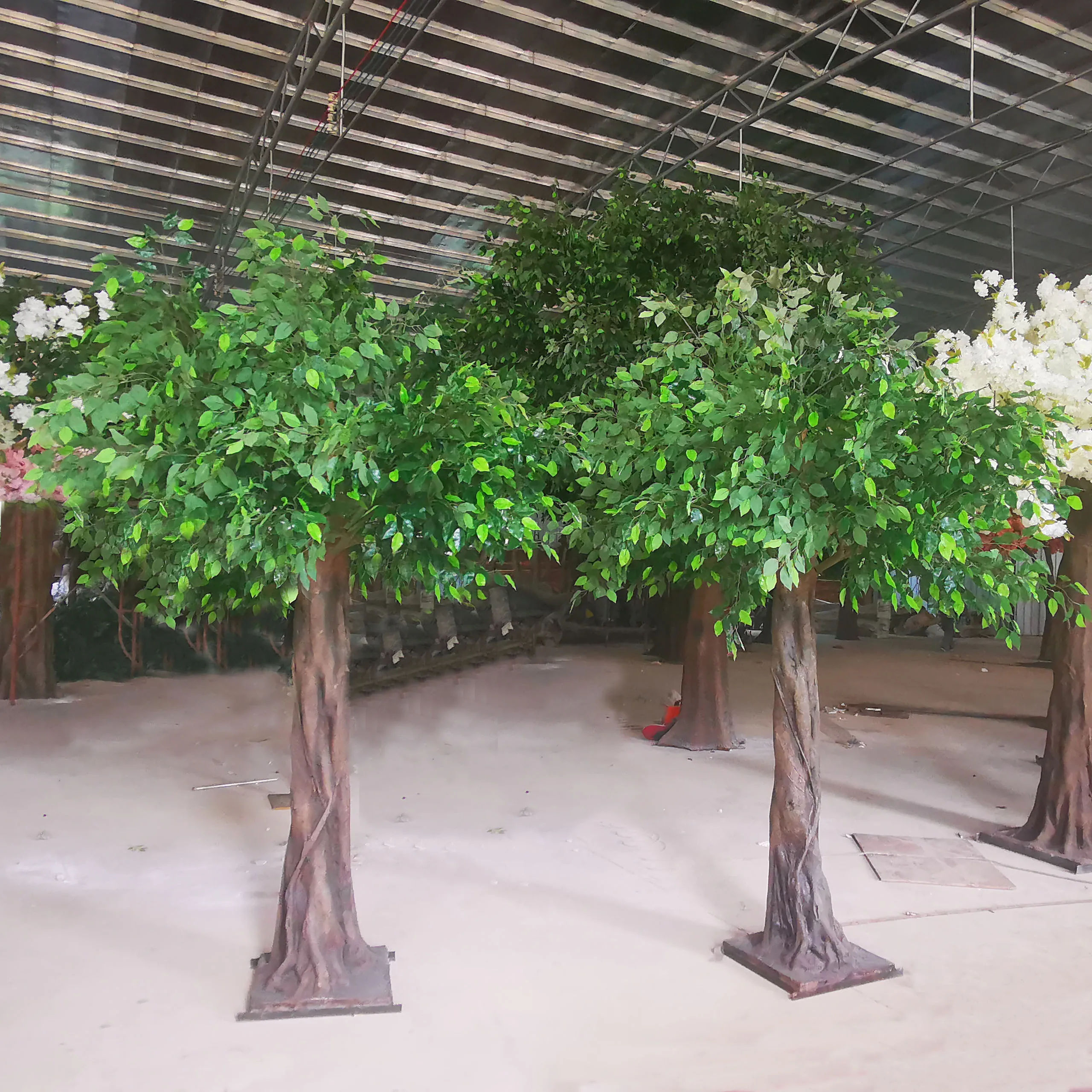 green banyan trees