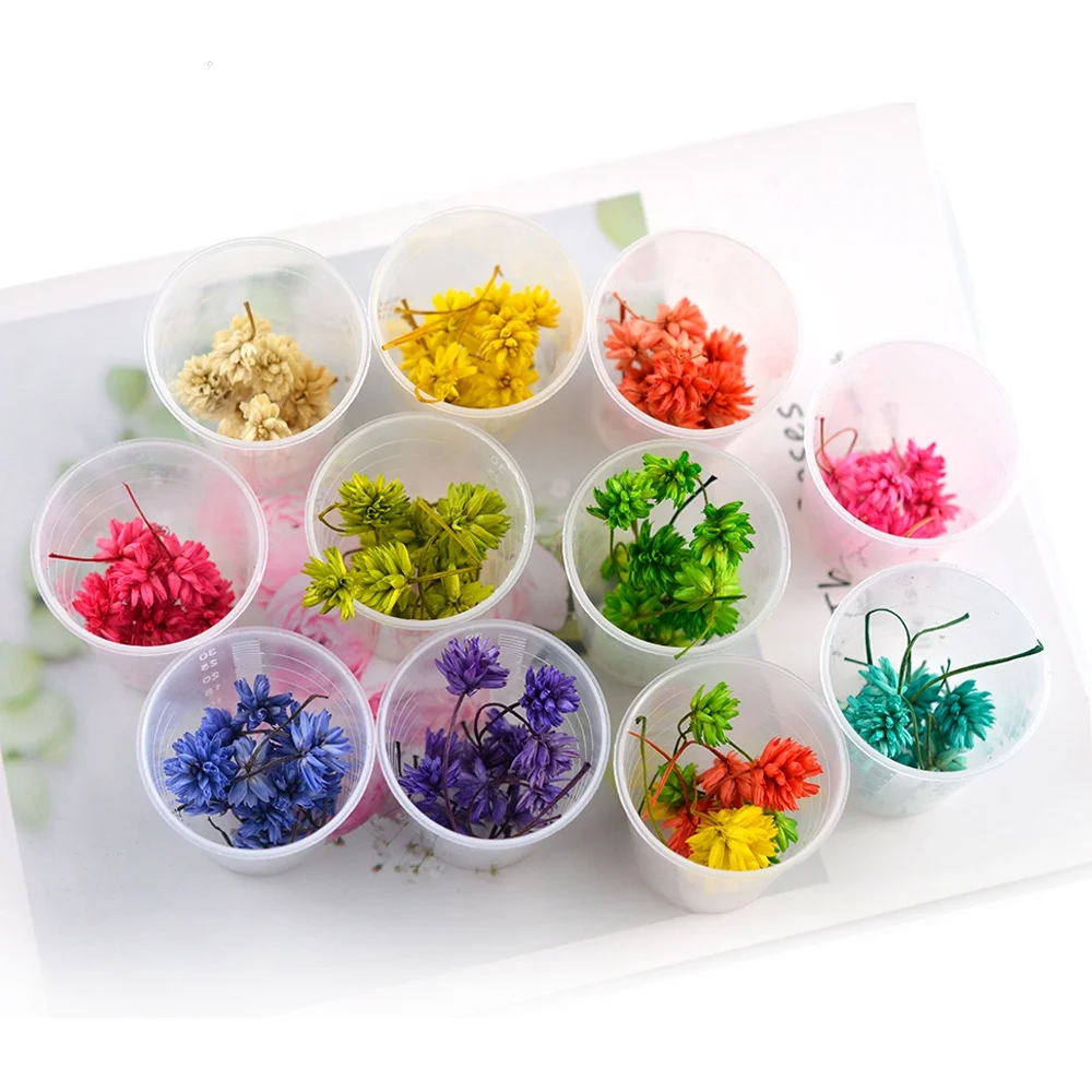 

Resin Jewelry Materials Dried Flowers Brazil Star For Resin Silicone Mold Making DIY Floral Real Natural Dried Pressed Flower