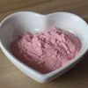 High Quality Natural Organic Acerola Cherry Powder Extract