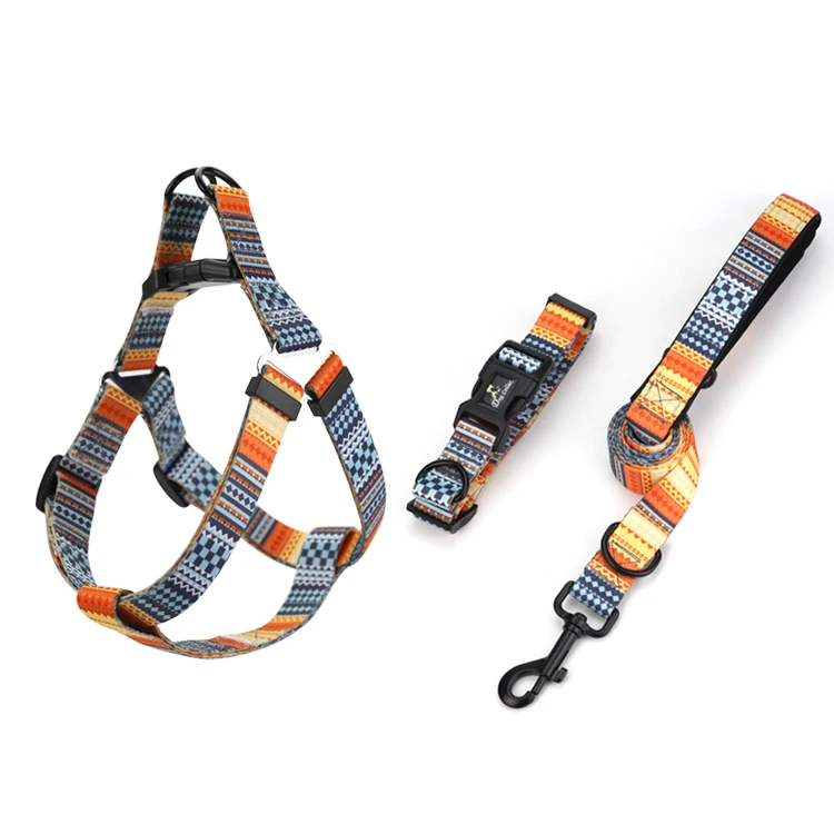 

Customized Waterproof Print Running Hook Fashion Dog Leash And Harness Collar Set With Soft Handle, Picture shows