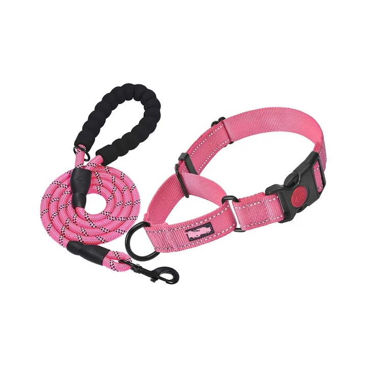 

Reflective collar dog nylon collar with quick release buckle Reflective dog training collar Dog leash, Pink