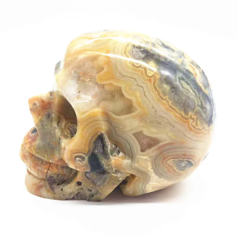 1pc Natural Crazy Agate Wing Skull Hand Carved Crystal Gifts 290-370g 