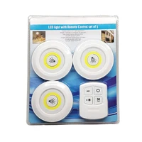 

China supplier Holiday Decoration LED Remote control lamp
