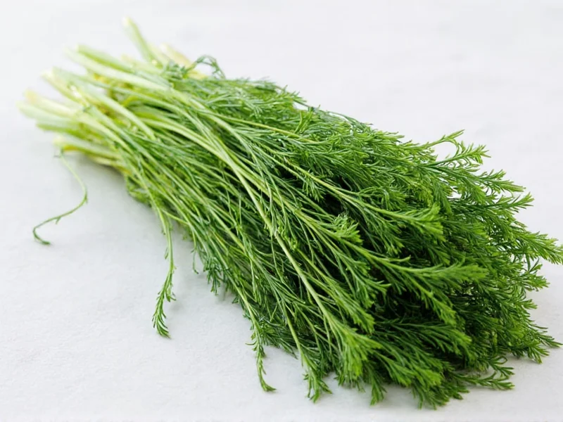 Fresh Dill to Dry Conversion: Complete Guide