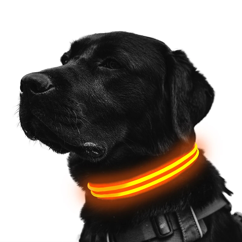 

Amazon High Quality Rechargeable LED Luminous Safety Warning Collar for Pets