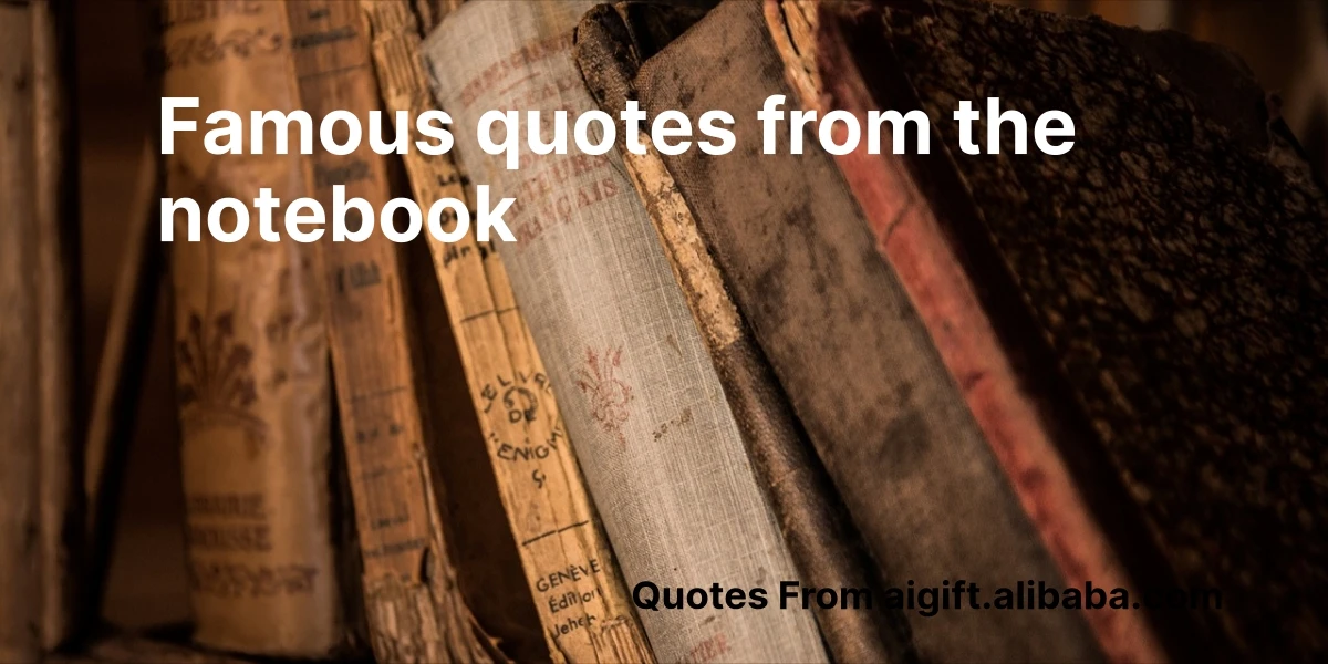 famous quotes from the notebook