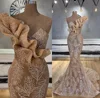 Luxury Lace Mermaid Champagne Gold Color Evening Dress Party Dress Evening Women's Evening Luxury Dress