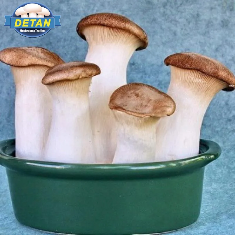 
DETAN oyster Mushroom spawns/logs/bags/grow kits (offer Professional technical guidance ) 