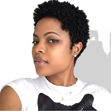 

2020 best seller micro braids short curly brazilian dropship hair wig for black women HD full lace wig, Your request