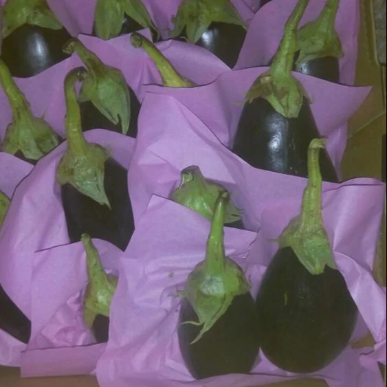 
Fresh Eggplant 