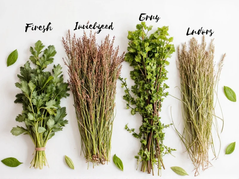Dried to Fresh Herb Ratio: 1:3 Standard Conversion Guide