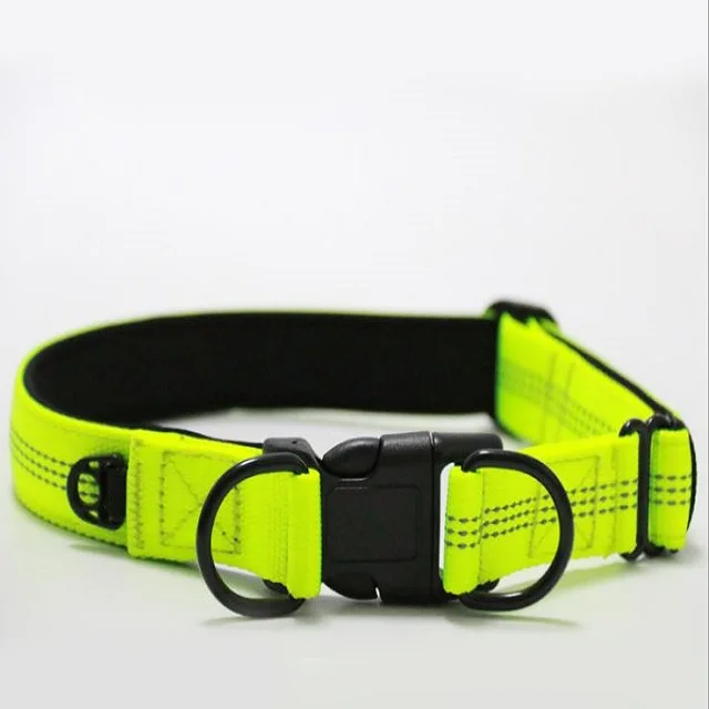 

Amazon Hot Selling Pet Supplies Upgraded Safety Buckle Reflective Nylon Double D-Ring Pet Adjustable Collar for Dogs