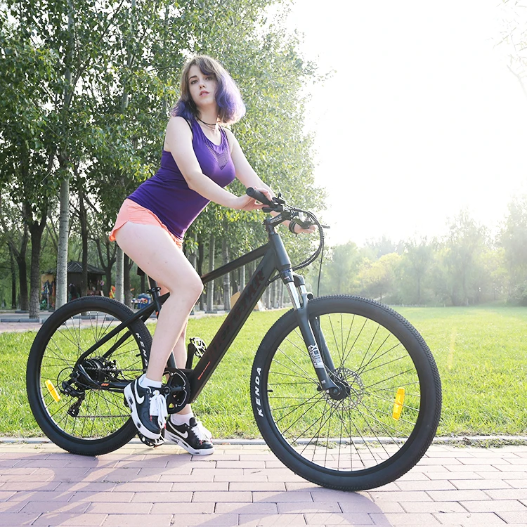 Factory Price Electric Bike Conversion Kit With Battery/electric Push