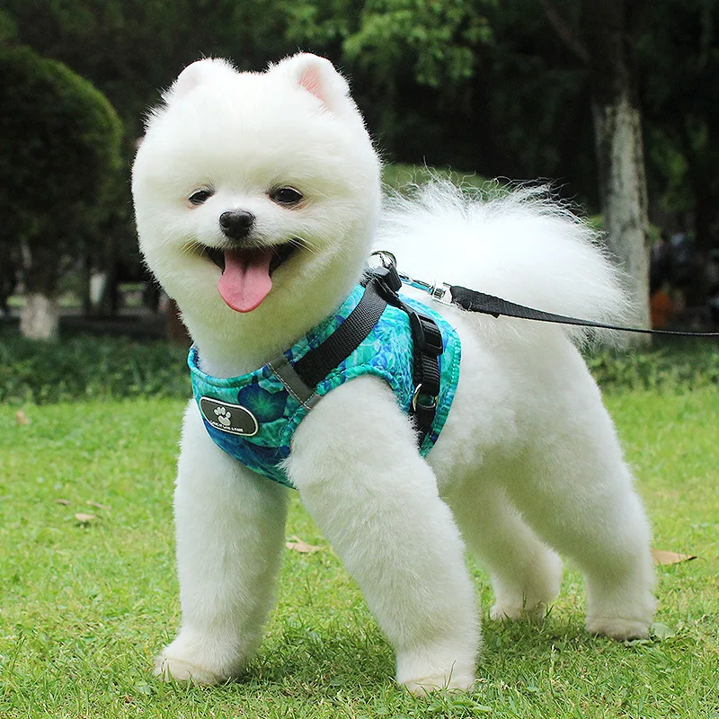 

2021 Custom Adjustable Printed Breathable Dog Harness Cotton Pet Vest Harness Collar Cotton Print Pet Dog Chest Strap Leash Set, Picture showed