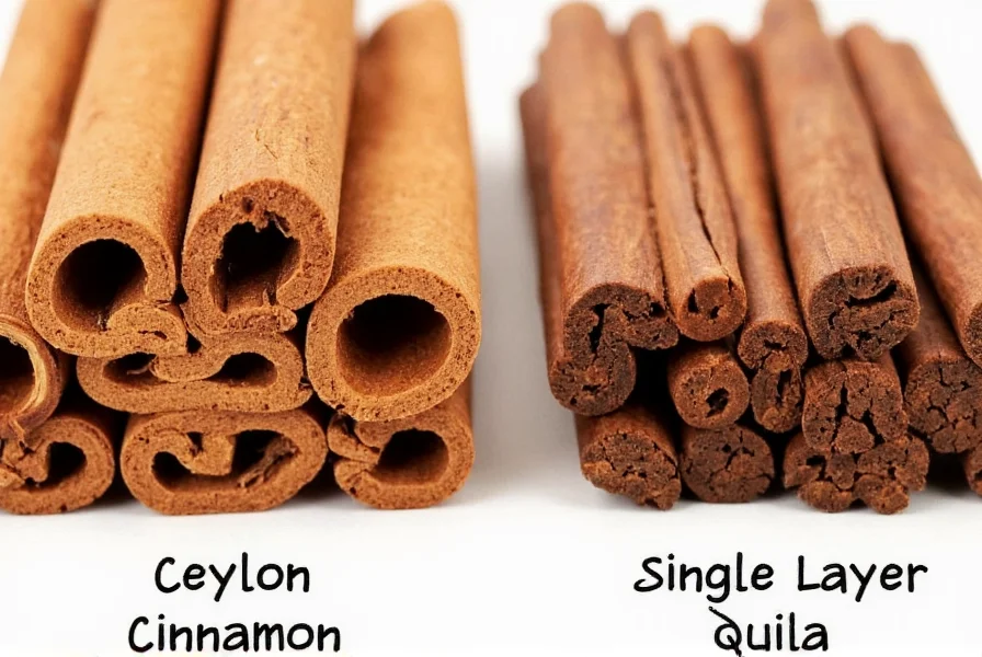 Close-up comparison of Ceylon cinnamon quills versus Cassia cinnamon sticks showing the layered structure of Ceylon and single-layer thickness of Cassia