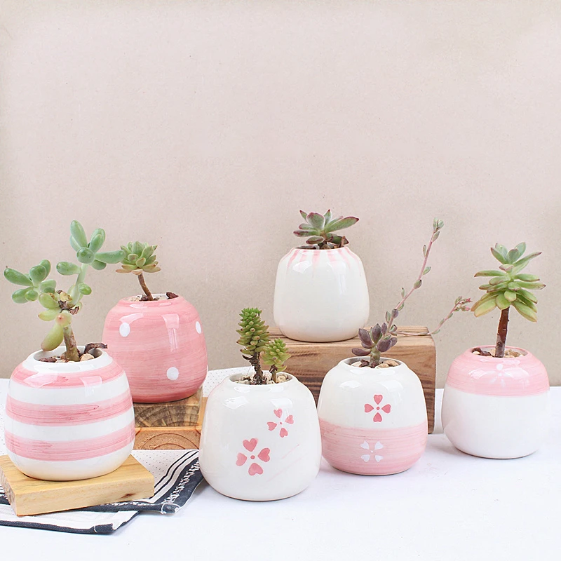 

Set of 6 Mini Ceramic Succulent Plant Handmade Pink Porcelain Desktop Home Decor Flower Pot Bonsai Planter