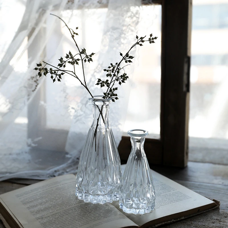 

Custom Modern Nordic Small Clear Flower Vase for Table Home Decor B782, Clear / amber or your customized