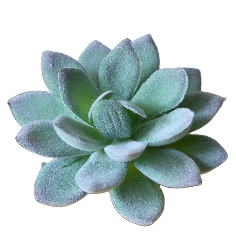 

Production of flocking succulent plant simulation flower accessories artificial succulent plastic flower decorative plant, Photo