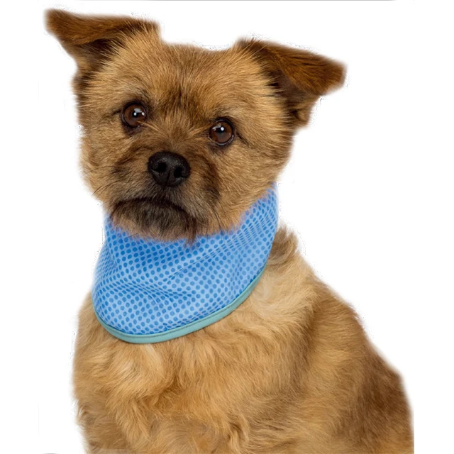 

Hot Selling Good Quality Vests Collar Summer Sunstroke Prevention Pet Dog Cooling