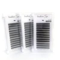 

Private Label Volume Eyelash Extension Trays Classic Lashes Extension Korea PBT