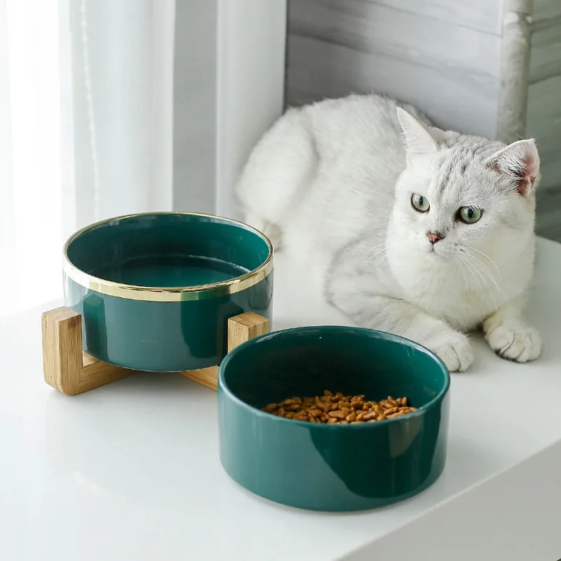 

Pet Bowl Amazon Supplier Ceramic Bowl With Bamboo Fiber Frame Cat Dog Pet Food Feeder