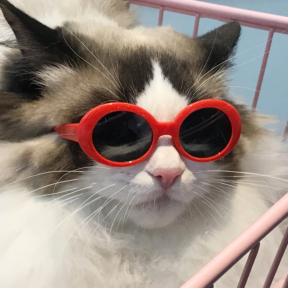 

Pet Cat Cute Sunglasses Small And Medium-sized Dog Universal Sun Protection Glasses Dog Cat Glasses