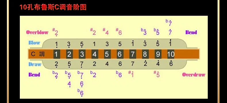 harmonica 10 hole easttop