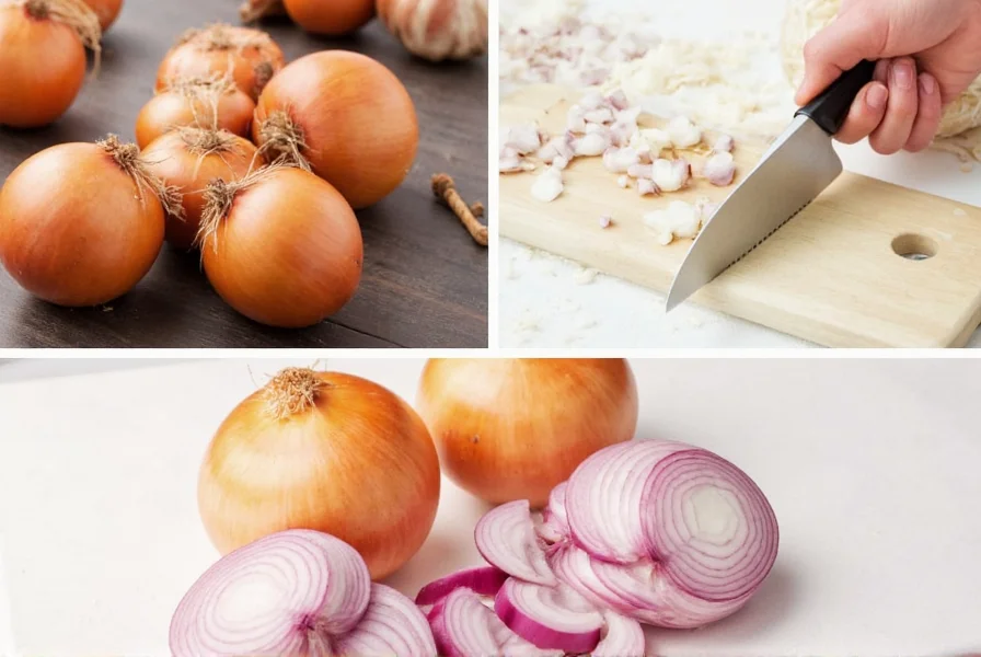 Lineup of minced onion products