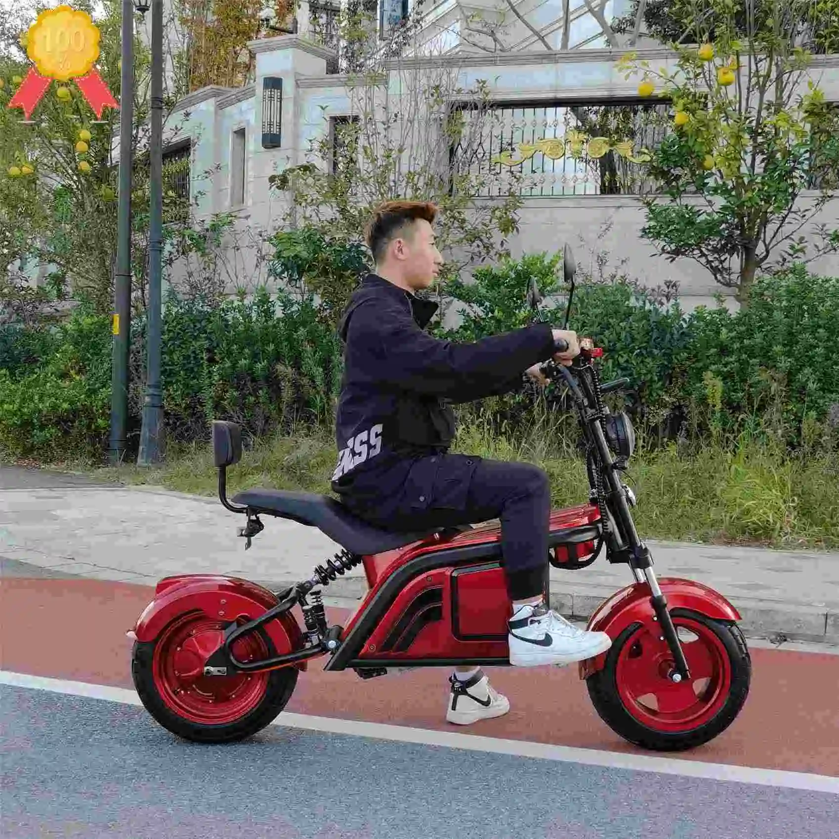 

High Speed Foldable Disc Brake Electric Scooter With Seat