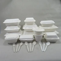 

South America Certificated Biodegradable Food Packaging Plate Bowl Box