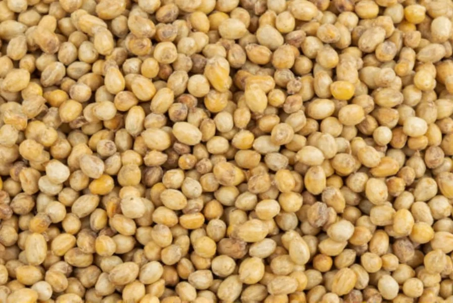 Close-up of golden brown coriander seeds in a mortar with pestle