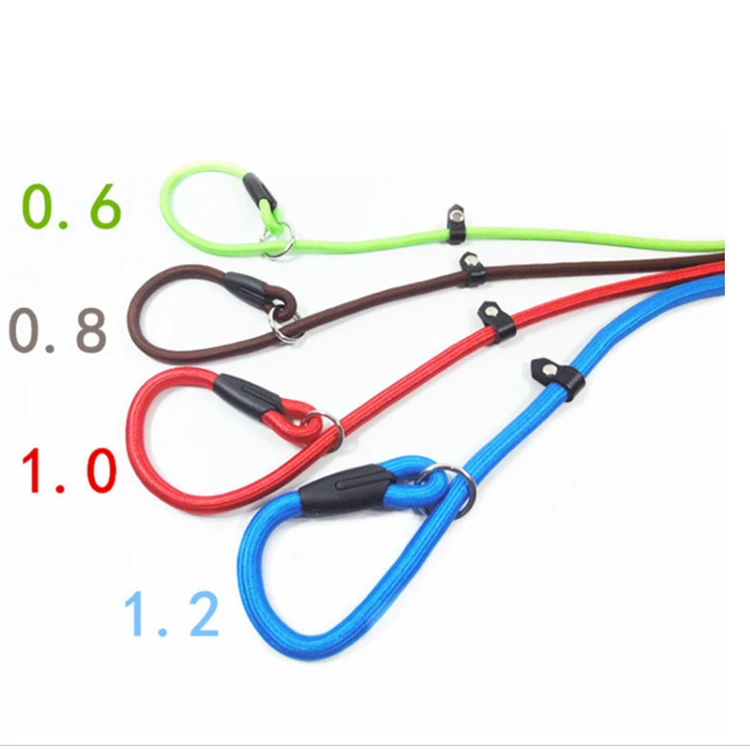 

Wholesale Cheap Free Sample Durable Lightweight Training Slip Lead Nylon Rope Dog Leash for Small Medium Dogs, Picture