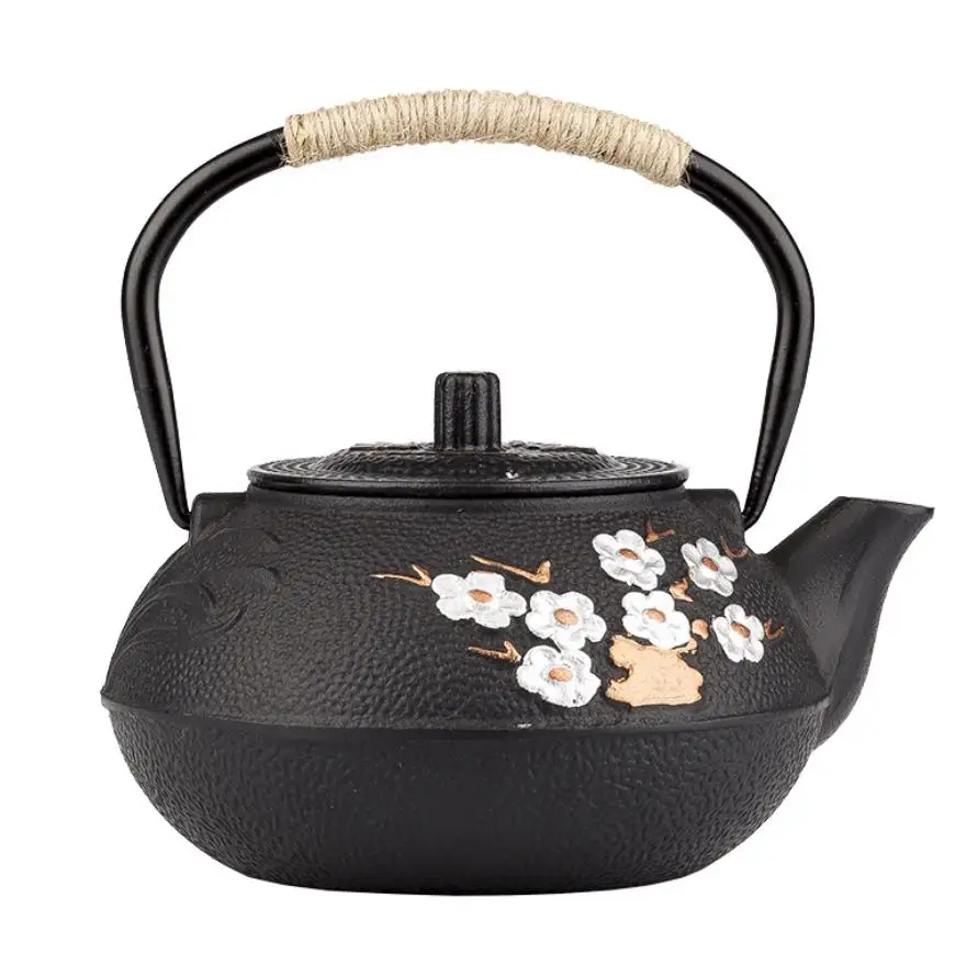 

Amazon Hot Sale Chinese features cast iron tea pot 800ml enamel kettle for sale