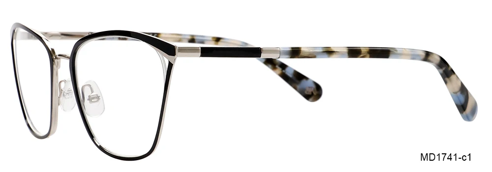 eyeglasses lens.jpg