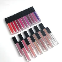 

No Brand Velvet Matte Liquid Lipstick Cosmetic Lipgloss Packaging Logo