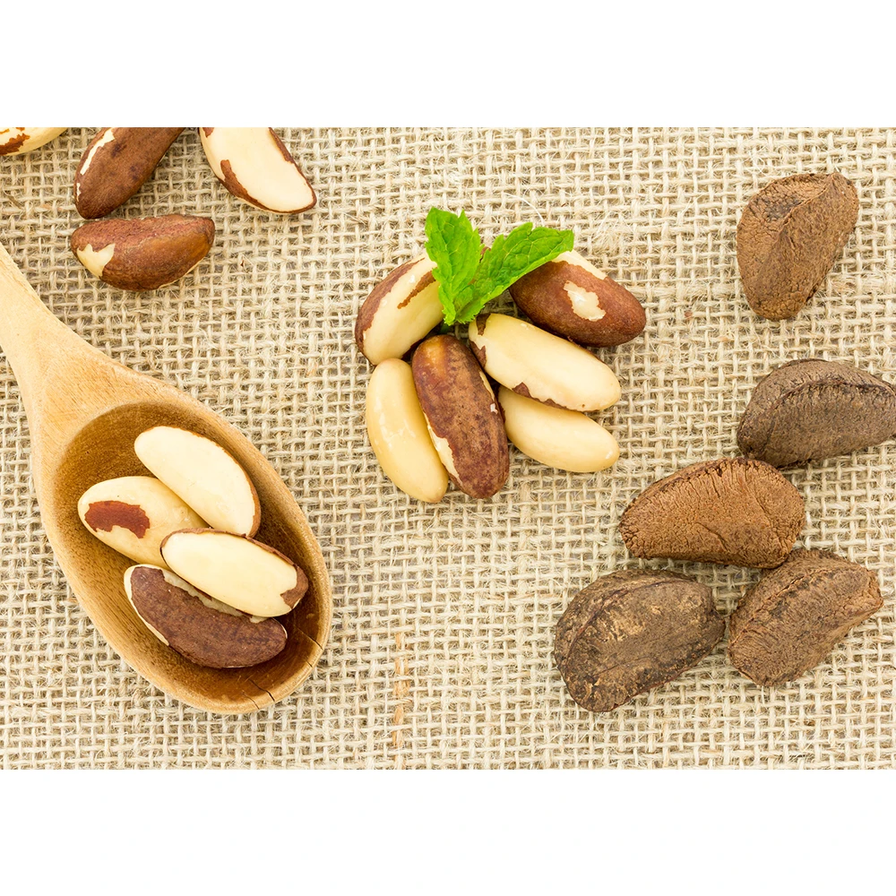
Shelled Organic Brazil Nut Medium Size  (1600079698265)