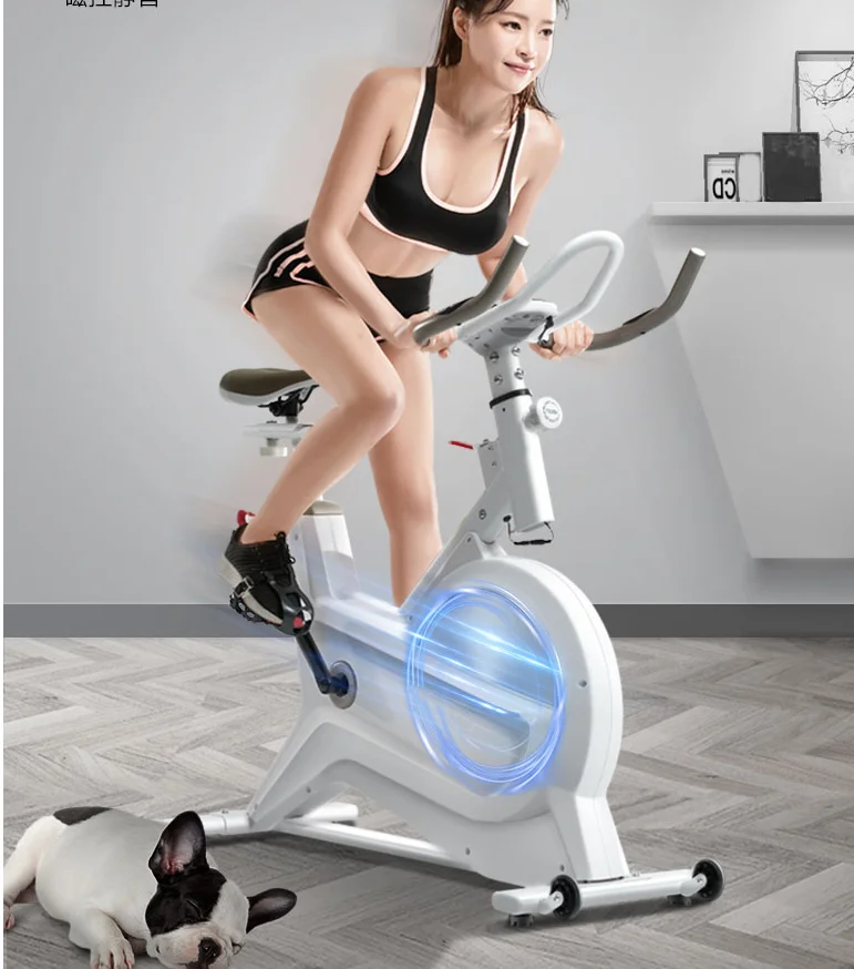 

Fitness Indoor Aerobic Exercise Bikes Quie Fitness Equipment Home Pedal Exercise Bike Indoor Weight Loss