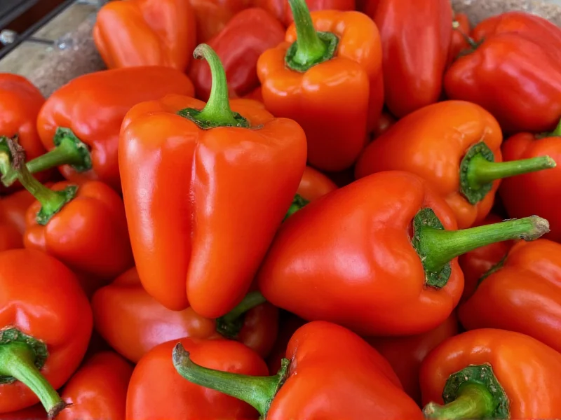 Best Peppers for Sausage: Complete Flavor Guide