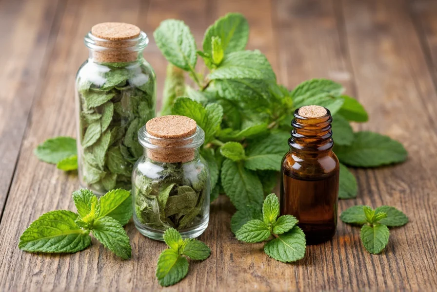Glass jars containing dried peppermint leaves, fresh sprigs, and peppermint oil on wooden table