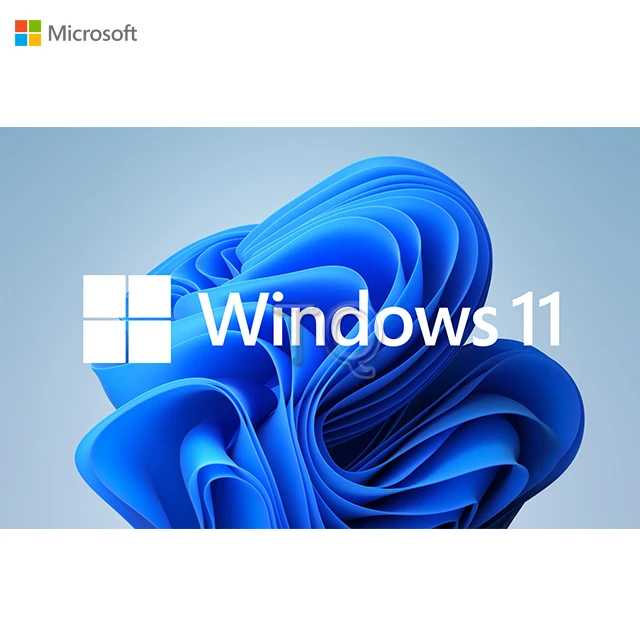 

Wholesale Windows 11 Professional Pro COA Sticker Genuine License key DHL Free shipping 6 Month Guaranteed