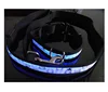 LED Dog Collar and Leash Value Combo
