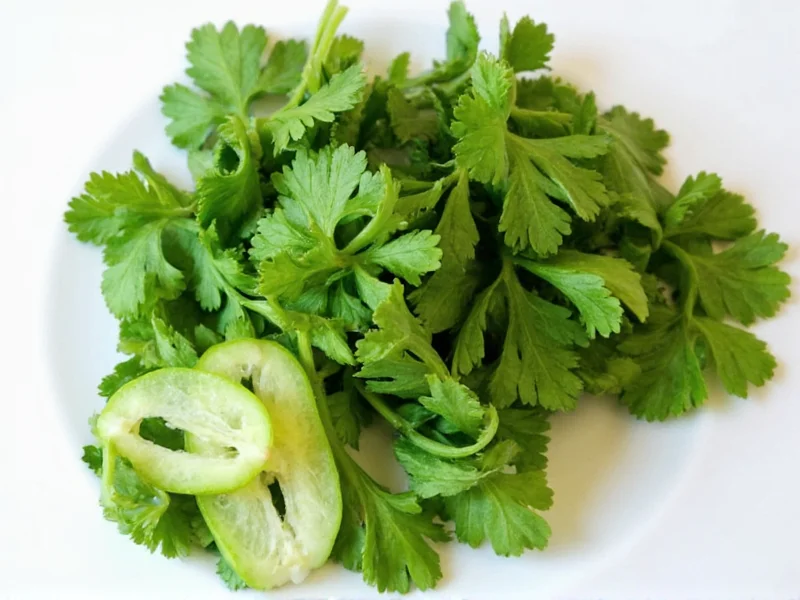 Yes, You Can Dehydrate Cilantro: Complete Guide & Tips