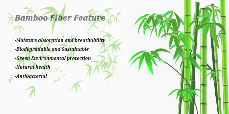 bamboo feature.jpg