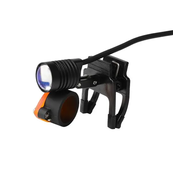 L4 01.jpg
