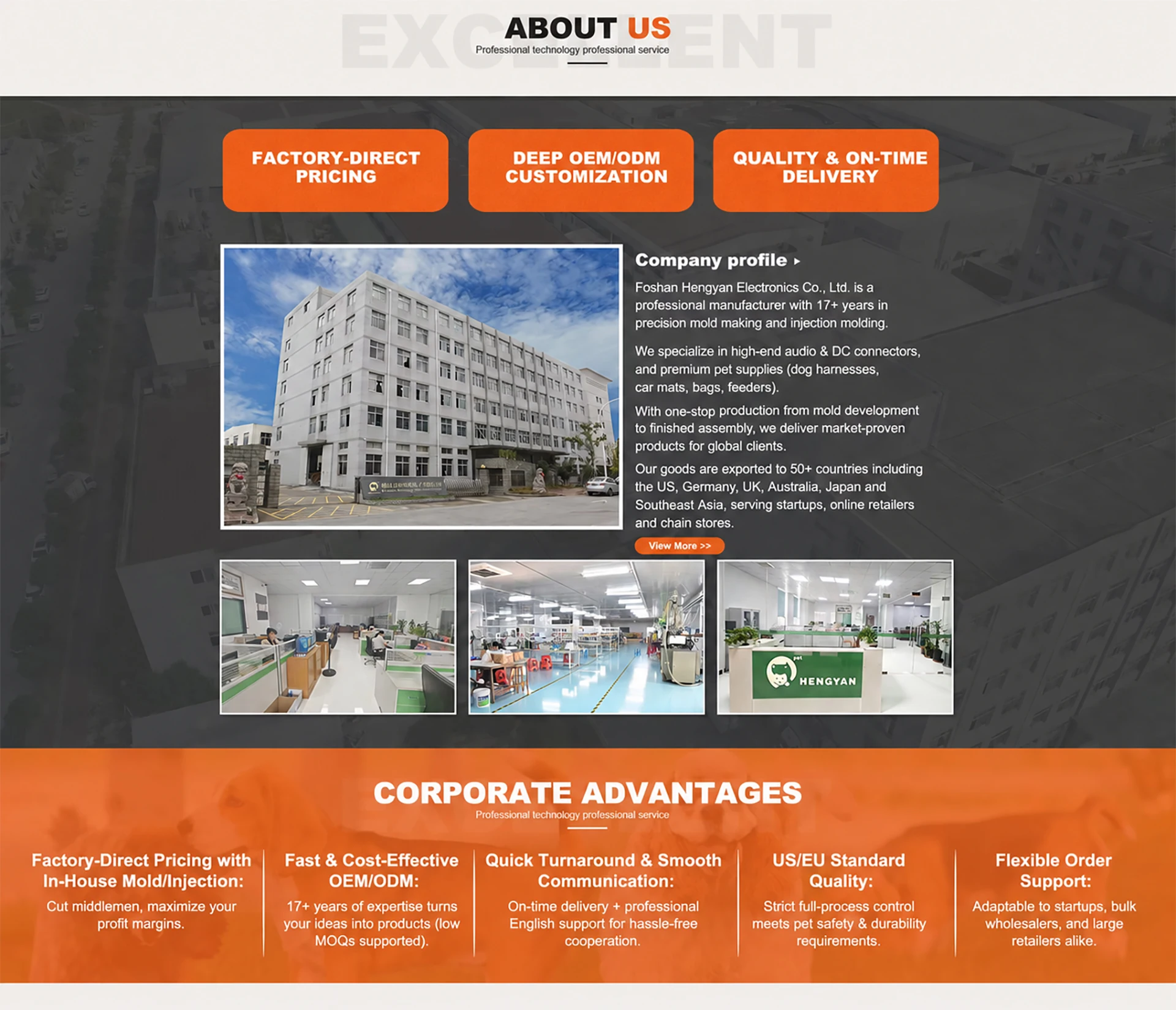 Overview Limited Company Overview - Foshan Hengyan Electronics Co., Ltd.