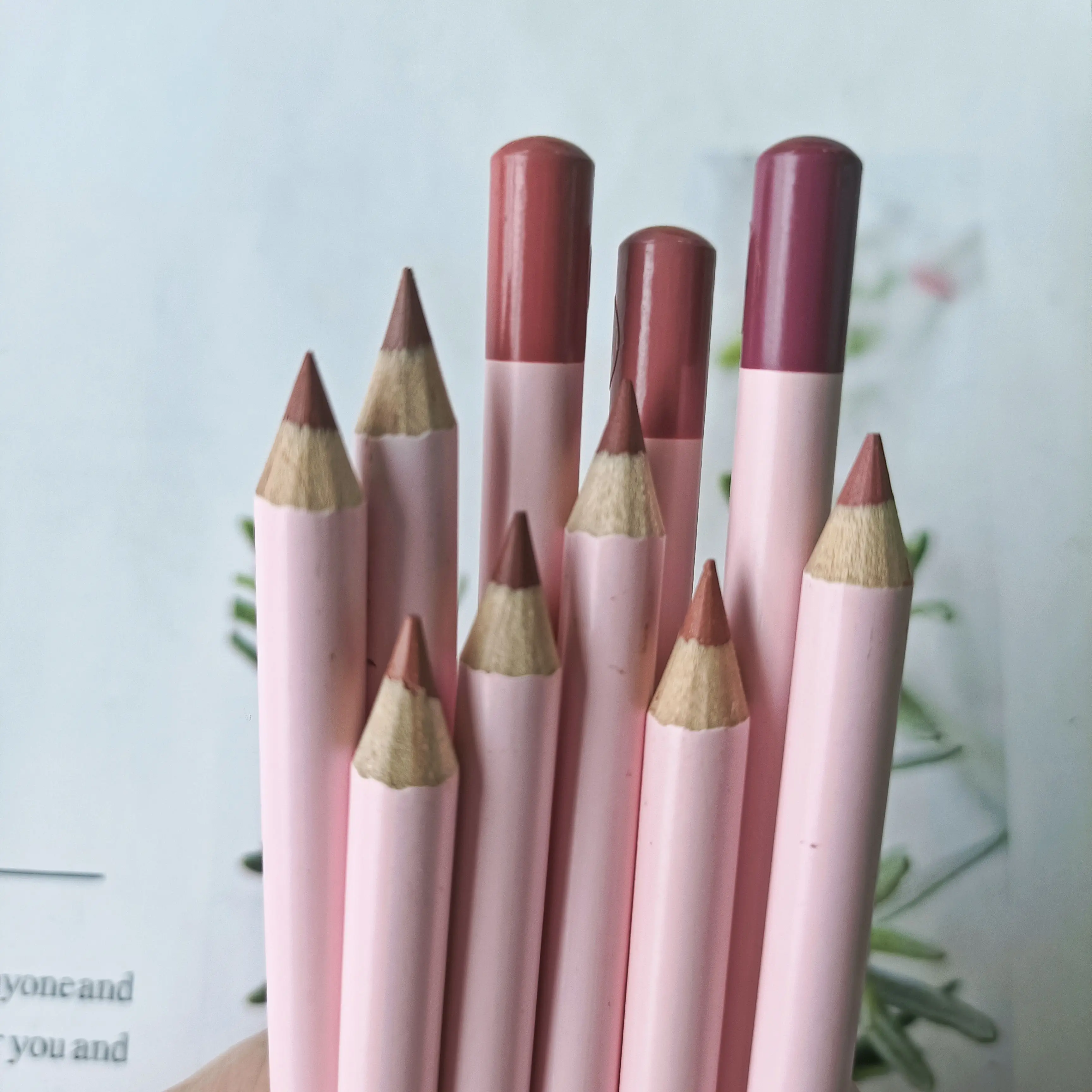 

Wholesale Logo Custom Lip Liner Pencil Matte Lipliner Private Label Waterproof Cruelty Free Vegan Lip Liner