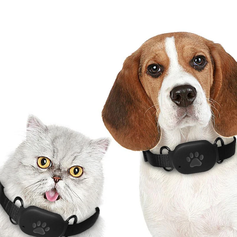 

10 years experience factory oem odm wholesale price gps long-distance tracking pet gps tracker collar, Black/blue/white